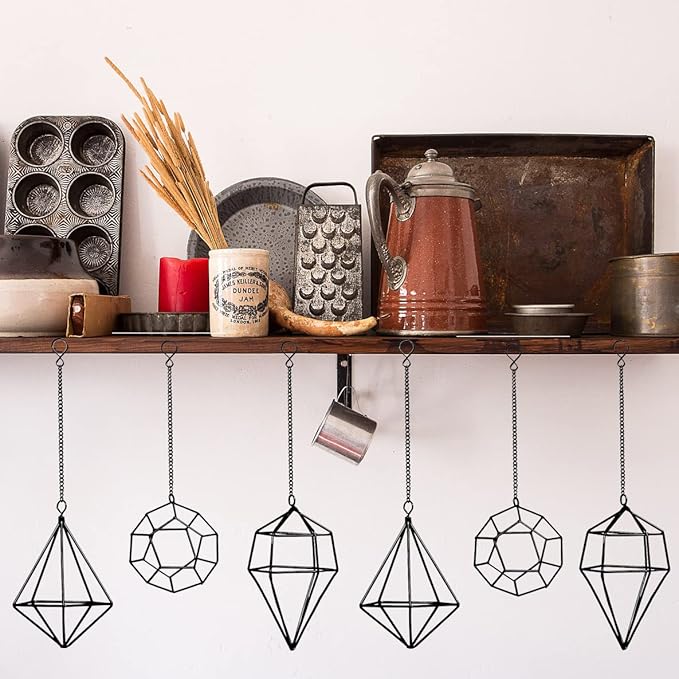 Iron Air Plant Holder, 6PCS Geometric Tillandsia Stand - Wall Mounted Hanging Planter for Home Office Decor, Black Metal Himmeli Craft for Air Ferns, Small Airplants Display