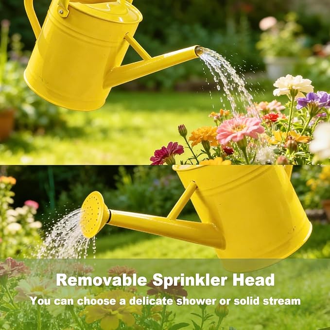 Watering Can for Outdoor&Indoor Plants，1 Gallon Metal Watering Can with with Removable Spout，Galvanized Steel Garden Flower Water Can Plant Watering Pot with 2 Handles，Yellow