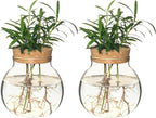 Plant Propagation Station,Hydroponic Terrarium Vase,Desktop Glass Planter Station,for Houses,Garden Decorations,ropagating Hydroponic Plants,Centerpiece Office,Home Garden Decor (2)