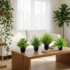 LOYWREE 4 Pack Artificial Plants Mini Fake Potted Plants Small Faux Greenery for Indoor Home Office Desk Table Shelf Farmhouse Bathroom Kitchen Coffee Table Laundry Room Decor