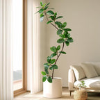 Bailikang 7.2ft Artificial Rubber Tree Faux Plants Indoor Faux Floor Artificial Trees Indoor,Fake Plant Fake Tropical Plants,Large Floor,Real Touch Rubber Tree for Home Decor