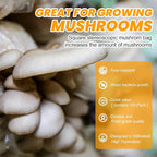 100PCS Mushroom Planting Kit - 8"5"20" Thickened Growing Bags, 6 Mil Thick Durable, Tear Resistant, 0.2 Micron Porosity Resistant High Pressure Spawning Bags