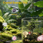 DIY Crystal Terrarium Kit– All-In-One Starter Kit with Preserved Moss, Pumice, Crystals, Coconut Coir, Gardening Tools & Decor | Healing Gift for relaxing | Plants & Crystal Lovers | Home & Desk Decor
