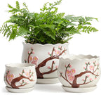 Ceramic Plant Pots with Drainage Holes and Saucers, Round Flower Pots for Indoor Plant, 4/5.2/6.6 Inches Small Flower Planters Set of 3