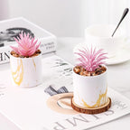 Der Rose Set of 4 Succulents Plants Artificial for Office Desk Accessories for Women Pink Home Decor