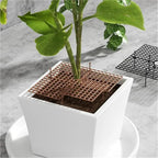 Plant Pot Grids 3pcs Flower Pot Cover Grid Garden Soil Guard Plant Protector Home Indoor Repel Cat Dog Protection(Black,52cm)