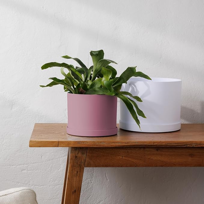 Bloem Mathers 6" Dusty Rose Round Modern Resin Garden Planter Pot with Drainage Holes and Removable Saucer Tray Included