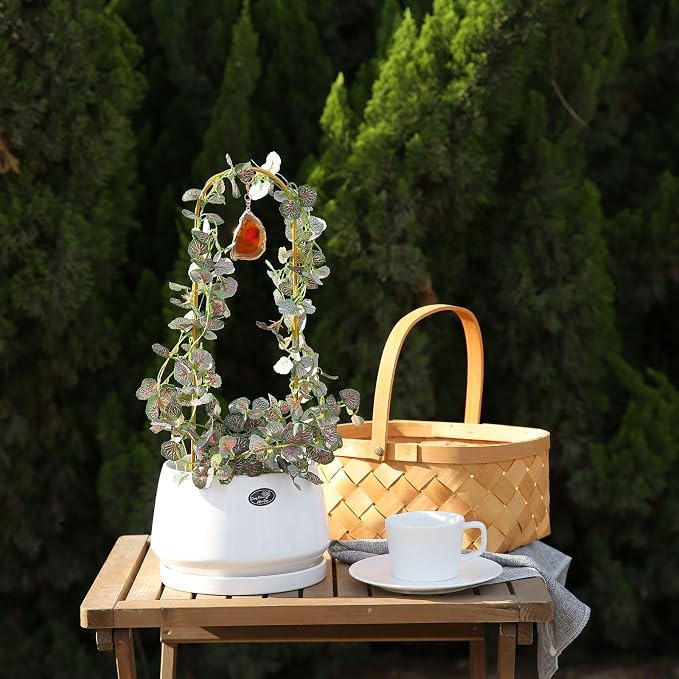 2PCS Small Plant Gold Trellis Indoor, Mini Metal Houseplant Decor Support for Potted Ivy Vine, Boho Garden Decorative Pot Climber with Agate for Climbing Hoya Pothos Philodendron Gift