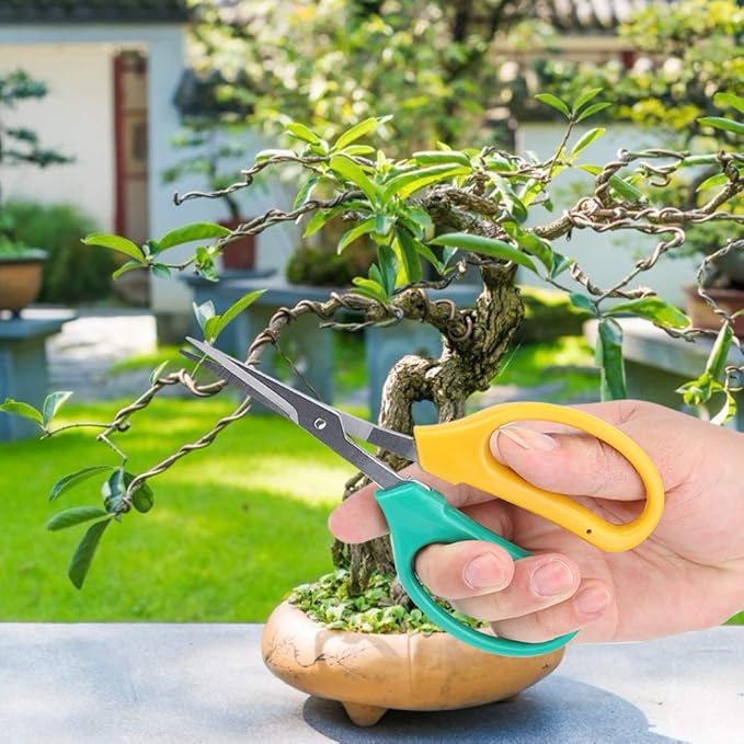 Kikumi Garden Shears with Long Handle, Curved Blade, Grape Scissors, Stainless Steel Bonsai Scissors, Scissors for Picking Fruit Branches