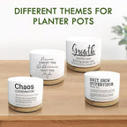 Coworker Thank You Gifts, Funny Succulent Plant Pot, Flower Cactus Planter Gifts, Farewell Going Away Appreciation Inspirational Gifts for Women Men Boss Lady Manager Coworkers (No Plants)
