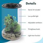 SubstrateSource Bio Cylinder - Glass Plant Terrarium Kit - Glass Terrarium w/LED Grow Light, Adjustable Ventilation Lid, Substrate, Moss & Accent Rocks - Bio Cylinder 150