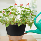 YNNICO 12 inch Large Self Watering Plant Pots, Flower Pots Planters with Multi Mesh Drainage Holes for Indoor Outdoor Garden Plants and Flowers.（Black）