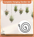 6Pcs Hanging Air Plant Holder, Air Plant Hanger with Jute Ropes, Soilless Tillandsia Display Stand for Home & Office Decor, Succulent Container