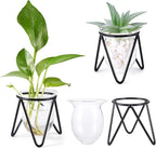 Jspupifip 3 Pcs Glass Plant Terrarium with Metal Stand, Air Plants Holders Hydroponic Plant Vases Desktop Bulb Glass Vase for Indoor Plants Home Garden Office Decoration, Black