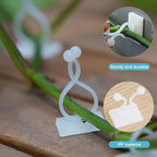 CoguZed 100 Pcs Plant Climbing Wall Fixture Clips, Self-Adhesive Plant Support Hooks for Indoor Outdoor Vines, White Sticky Vine Wall Clips, Multipurpose Wire Cable Organizer for Home Garden Decor