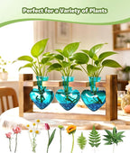 Nacome Plant Terrarium Propagation Stations: Mothers Day Gifts for Mom Plant Lovers Women Wife Daughter - 3 Bulb Glass Vases with Wooden Stand Tabletop for Hydroponics Home Garden Decor