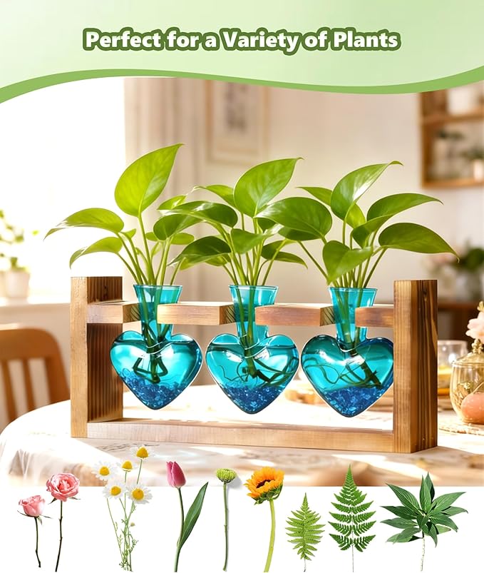 Nacome Plant Terrarium Propagation Stations: Mothers Day Gifts for Mom Plant Lovers Women Wife Daughter - 3 Bulb Glass Vases with Wooden Stand Tabletop for Hydroponics Home Garden Decor