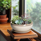 SQOWL Succulent Pots 8 Inch - Ceramic Bonsai Pots for Indoor Plants, Round Shallow Plant Pot with Drainage Hole and Saucer, Bowl Planter Outdoor, Patio Decor, Plant Lover Gifts, Beige