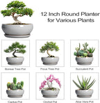 SQOWL 12 Inch Bonsai Pots - Large Ceramic Succulent Pots with Drainage Hole and Saucer, Shallow Planter for Indoor Outdoor Plants Flowers, Round Planter Bowl, Garden Decor, Gifts for Women, Gray