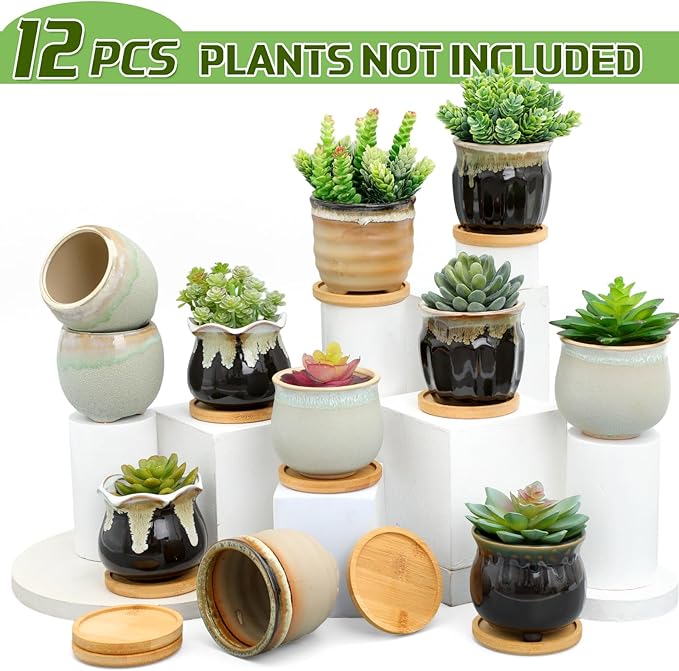 Remerry 12 Pcs Small Succulent Pots Bulk with Drainage Assorted 3.5 Inch Mini Ceramic Succulent Planters Pot with Coaster Bamboo Plant Tray Planting Pots for Home Office Garden