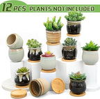 Remerry 12 Pcs Small Succulent Pots Bulk with Drainage Assorted 3.5 Inch Mini Ceramic Succulent Planters Pot with Coaster Bamboo Plant Tray Planting Pots for Home Office Garden