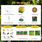 DIY Moss Terrarium Kit, 4 * 4 * 4 inch Acrylic Cube Mini Garden with Live Star Moss, Soil, Pure Mind-Craft Kit for Adults and Teens, Relaxing Desk Decor & Unique Gift for Home or Office