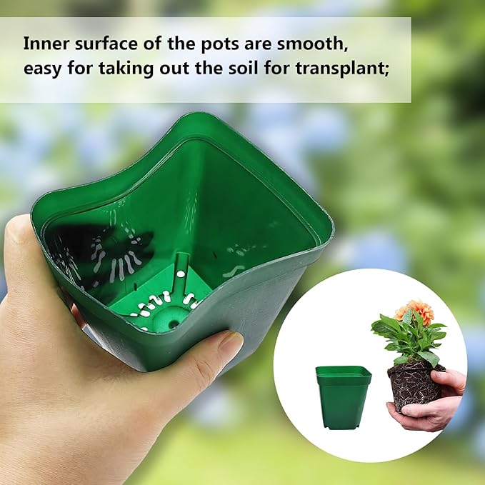 RooTrimmer Square Seedling Nursery Pots 3.15 Inches 100 Pcs for Small Succulents or Cacti Flower Plastic Pots Sturdy Reusable (Green, 3.14Inches,100Pcs)