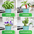 Plexon Herb Planter Indoor Garden Set of 3 with Tray, Metal Herb Pots for Indoor Plants, Round Kitchen Garden Kit Ideal for Windowsill Planter or Countertop, Aqua Mist Blue Powder Coated