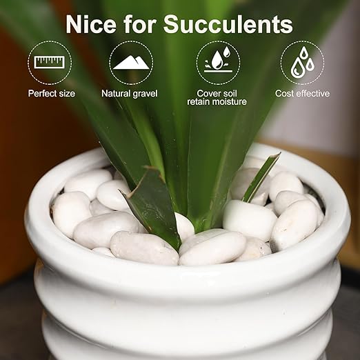 20LB River Pebbles Polished Gravel for Plants Natural White Plant Stones River Rocks 3/4-1 5/8 Inch River Stones for Landscaping Small Pebbles for Crafts