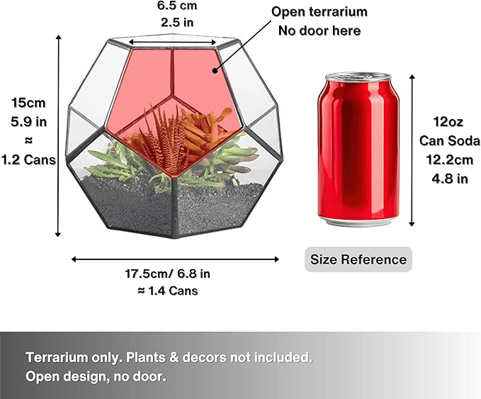 NCYP Small No Door Terrarium Planter - 6.8" x 6.8" x 5.9" Open Geometric Glass Terrarium Pot for Mini Succulents, Small Cactus - Home Tabletop Miniature Decor, Black (No Plants)