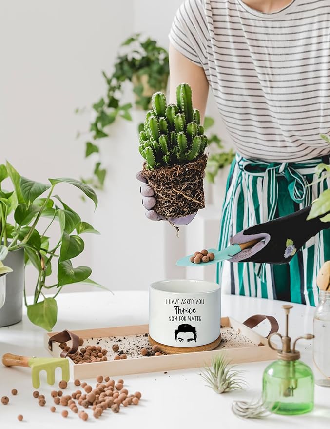 I Have Asked You Thrice Now for Water Ceramic Succulent Planter Pot, Funny Plants Pots Schitts Merchandise Gifts, for Women Mom Grandma Plant Lovers Gifts - 3.5 inch(Plant Not Included)