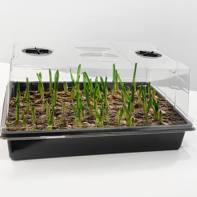 RooTrimmer 4-Pack Seed Starter Trays with 5'' Tall Humidity Domes – Reusable Plant Germination Kit for Microgreens, Herbs & Indoor Gardening | Clear Vented Lids, Fast Seedling Growth & Durable Design