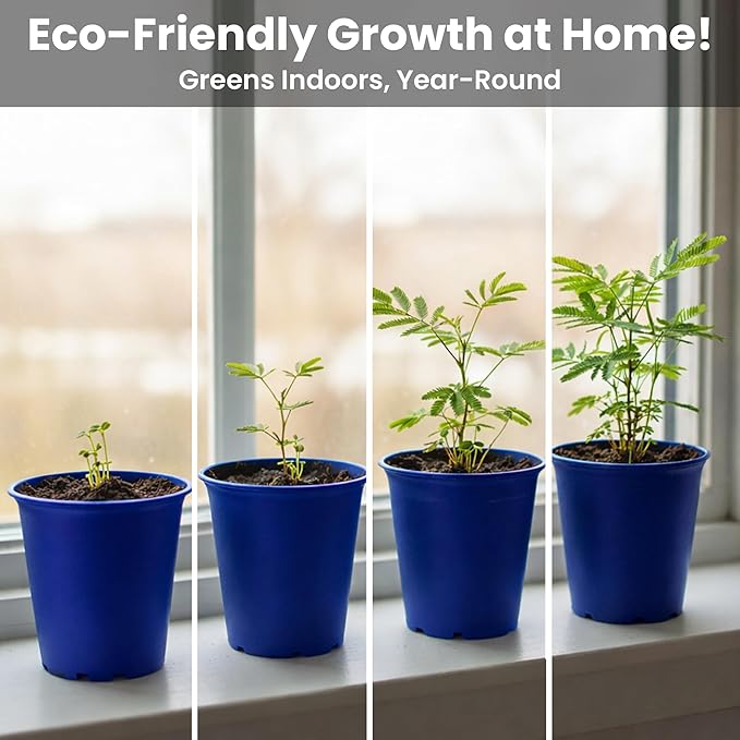 TickleMe Plant Deluxe Family Greenhouse Kit – Grow the Playful Plant that Closes Its Leaves When Tickled! Includes Mini Greenhouse, 3 Seed Packets, Soil Pellets & Pots – Fun Indoor Gardening Gift
