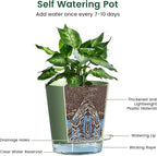 Meowell 7 inch Self Watering Pots for Indoor Plants, 5 Pack Plant Pots with Drainage Holes & Clear Reservoir for Visible Water Level, Plastic Wicking Planter Pots for House Plants and Flower, Green