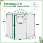 EAGLE PEAK 6.6x6.6 Portable Walk in Greenhouse, Pop Up Indoor Outdoor Greenhouse, Green House Kit with Zippered Roll-Up Doors and Windows, Hexagon Design, PE Cover, Clear/White