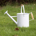 1 Gallon Watering Can with Wooden Handles, White, Galvanized, Metal Watering Can with Removable Spout, Perfect Water Can for Indoor and Outdoor Plants