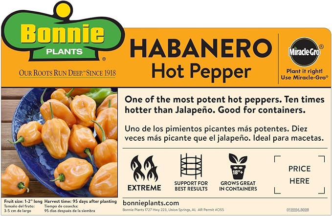 Bonnie Plants Sweet N' Heat Pepper Plant Kit (4-Pack), Live Plants, Heavy Yielding Plants, Green Bell, Jalapenos, Banana & Habanero Peppers