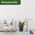 United Nursery ZZ Plant Live 22–27 inches Tall in 10 inch Plant Pot, Large Indoor House Plant, Low Light Drought Tolerant Floor Plant for Home and Office