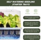 Adawook Self-Watering Seed Starter Tray, Seed Starter Kit Self Water, Germination Trays for Seed Starting with High Humidity Domes (Tray, 240 Cells)