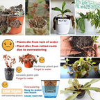 5 Pack Self Watering Plant Pots 5/6.7/8.4 In Self Watering Planters for indoor and Outdoor plants African Violet Self Watering Pots Clear Pots for Plants Herb Orchid Flower Houseplant Pots, Light Grey