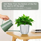 QCQHDU Self Watering Hanging Pots, 2 Pack 7.2 Inch Hanging Planters for Plants Indoor, Flower Pots with Drainage Holes and 3 Hooks Chains for Garden Home (Clear)