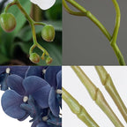 FagusHome 32 Inch Artificial Phalaenopsis Flowers 6 Pcs Artificial Orchid Flowers Stem Plants for Home Décor (Dark Blue)