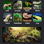 SARUFO Reptile Glass Terrarium Kit(8 Pieces) 12 * 8 * 6 in, Amphibian Tank Starter Kit, Suitable for Small Reptiles Such as Geckos, Snakes, Lizards, Chameleons,Serpents(12 * 8 * 6 inchs)