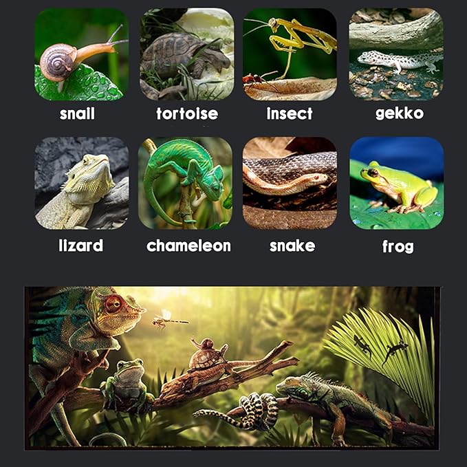 SARUFO Reptile Glass Terrarium Kit(8 Pieces) 12 * 8 * 6 in, Amphibian Tank Starter Kit, Suitable for Small Reptiles Such as Geckos, Snakes, Lizards, Chameleons,Serpents(12 * 8 * 6 inchs)