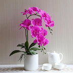 Htmeing 38 Inch Artificial Phalaenopsis Flowers Branches Real Touch (Not Silk) Orchids Flowers for Home Office Wedding Decoration,Pack of 2 (Rose red)