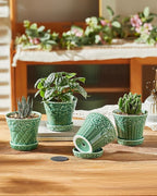 Metahom Succulent Ceramic Pots, 3.8 Inch Small Plant Pots with Drainage Hole & Saucer, Flower Planter Pot for Indoor Plants Cacti, Home Decor, Set of 4, Green