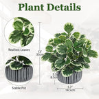 13" Artificial Plants Indoor Small Fake Plant in Ceramic Pot, Silk Plants for Home Decor Indoor, Faux Peperomia Potted Plant for Shelves, Desks, Home, Room, Office, Bedroom, Entryway, Tabletop Decor