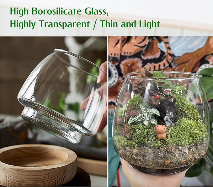 6 Inch Plant Glass Terrarium with Removable Wooden Base for Succulents Glass Bowl for Air Plant Cactus Moss (Plants not Included)