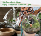 6 Inch Plant Glass Terrarium with Removable Wooden Base for Succulents Glass Bowl for Air Plant Cactus Moss (Plants not Included)