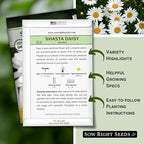 Sow Right Seeds - Shasta Daisy Seeds for Planting - Perennial Shasta Alaska Daisies - Non-GMO Heirloom Variety - Ideal for Outdoor Gardens - Easy to Grow - Drought Tolerant - Attracts Pollinators (1)